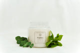 Eucalyptus  and Peppermint Candle